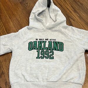 Zara Toodler Boys Hoodie